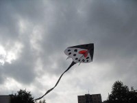 rejnok byl nejvýše