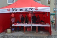 Ve stánku města nabízeli propagační materiály